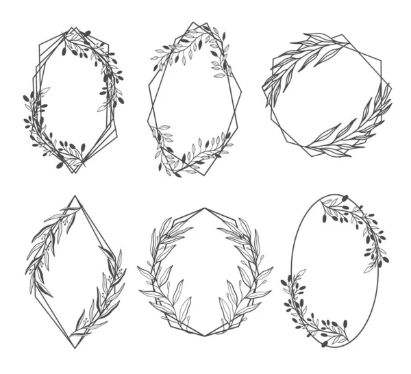 Frame Natuurlijke Flora Wreath Tak Lijn Elegant Vector Illustratie — Stockvector