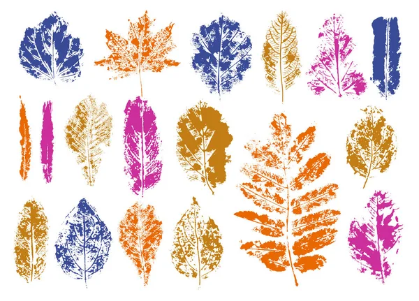 葉植物の印刷モノタイプを隔離された白い背景に設定します。植物性塗料. — ストックベクタ