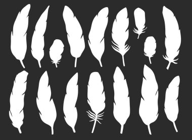 Tüy soyut izole dekorasyonu ayarla. Boho kırsal tarzı. Vektör illüstrasyonu.