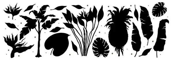 Set silhouette natura pianta tropicale.Linea arte set disegnato a mano. Palma giungla floreale. — Vettoriale Stock