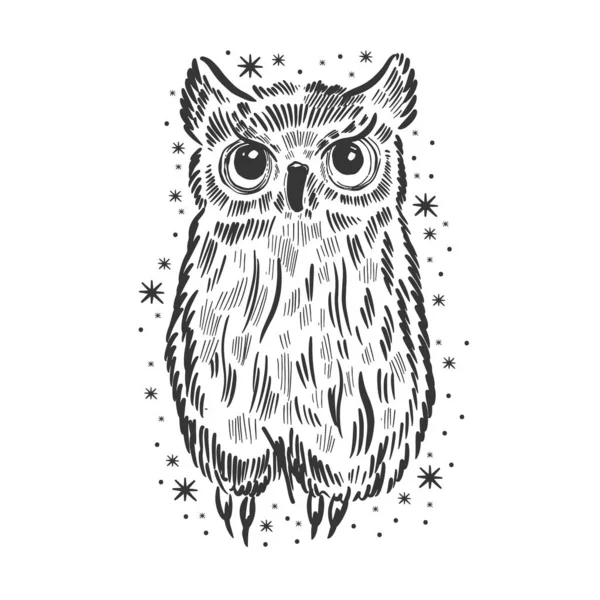 Owl Hand Drawn Sketch Funny Cute Bird Isolated Vector Illustration — Stock Vector