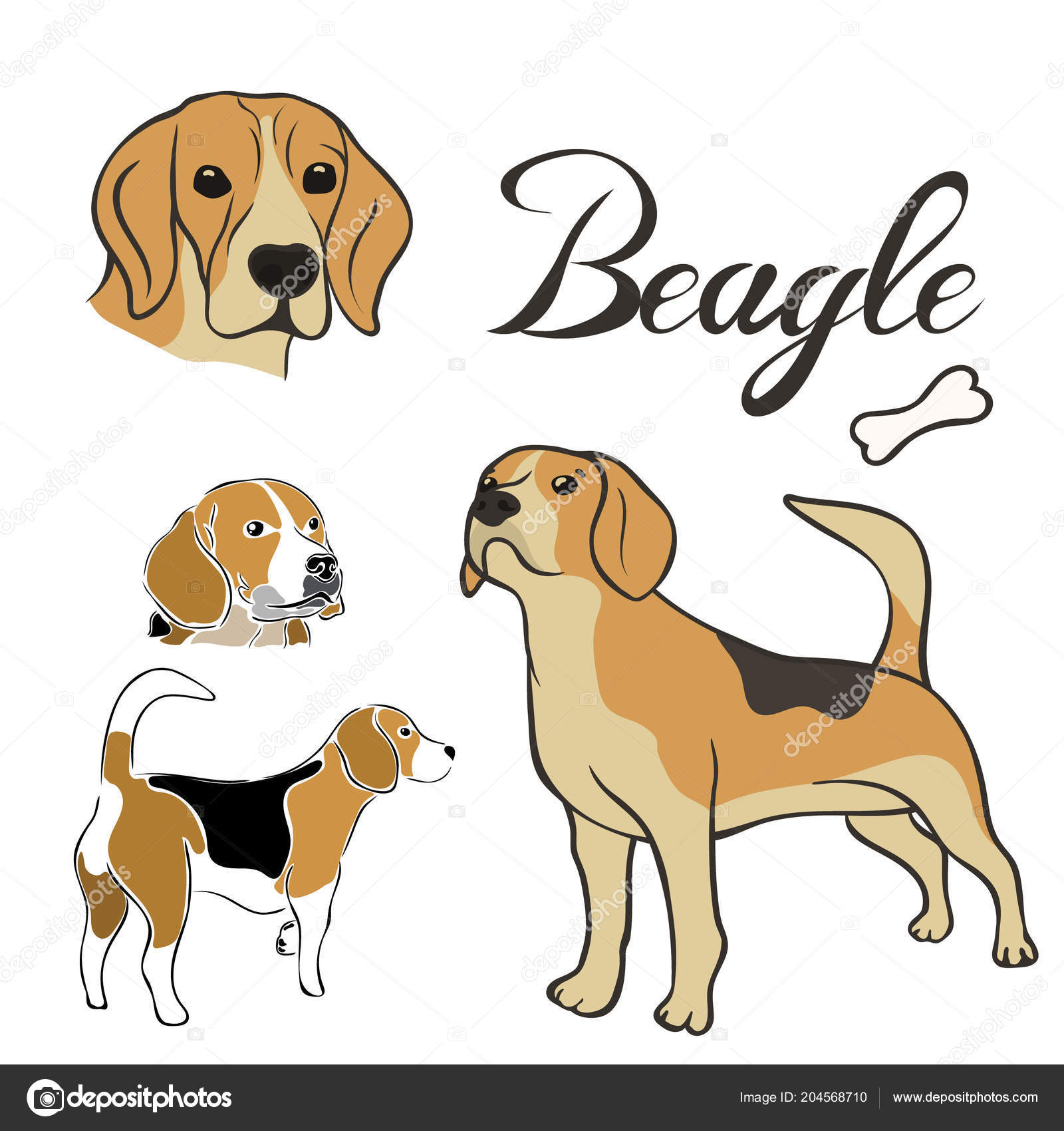 beagle pet shop