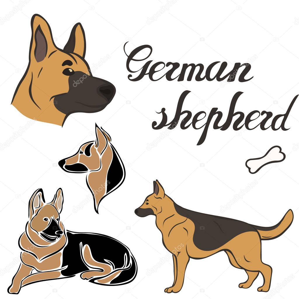 German shepherd dog breed vector illustration set isolated. Doggy image in minimal style flat icon. Simple emblem design pet shop, zoo ads, label design animal food package element. Realistic dog sign