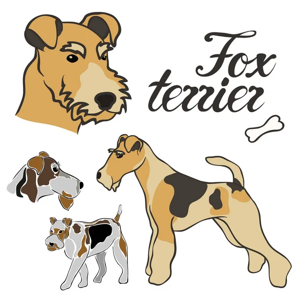 Fox Terrier Hunderasse Vektor Illustration Set Isoliert Doggy Image Minimalem — Stockvektor