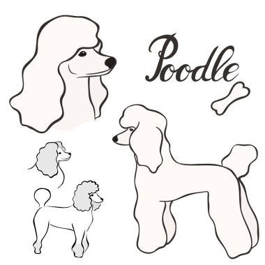 Kaniş köpek doğurmak vektör illüstrasyon izole ayarla. Köpek görüntü en az tarzı, düz simgesi. Evde beslenen hayvan dükkan, Hayvanat Bahçesi reklamlar, etiket tasarım hayvan yemi paket öğesi için basit amblem tasarımı. Gerçekçi köpek işareti