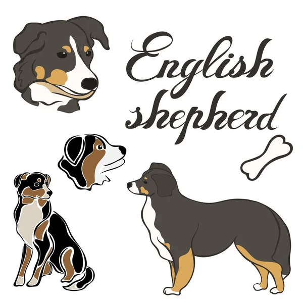 英語のシェパード犬品種ベクトル イラスト分離を設定します 最小限のスタイル フラット アイコンでの後背位画像 シンプルなエンブレム デザイン ペット ショップ 動物園の広告 — ストックベクタ