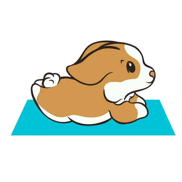 Der Walisische Corgi Hund Übt Yoga Vektor Illustration Niedlichen Corgi — Stockvektor