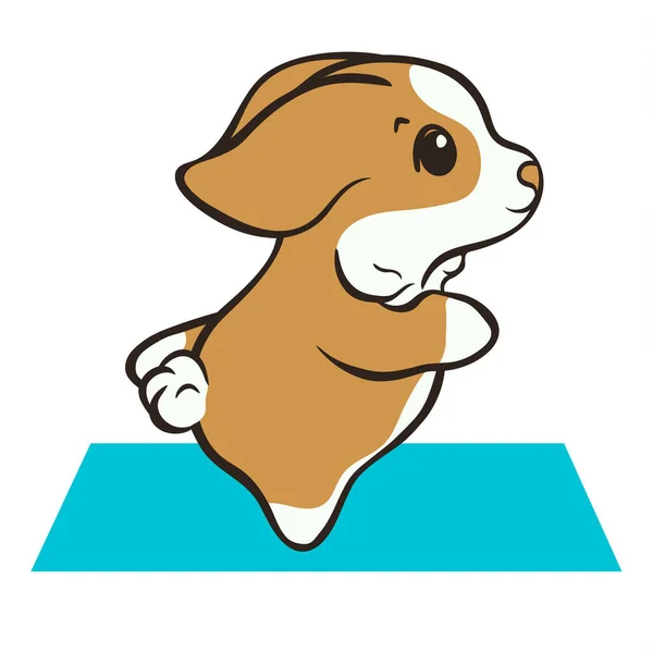 Der Walisische Corgi Hund Übt Yoga Vektor Illustration Niedlichen Corgi — Stockvektor