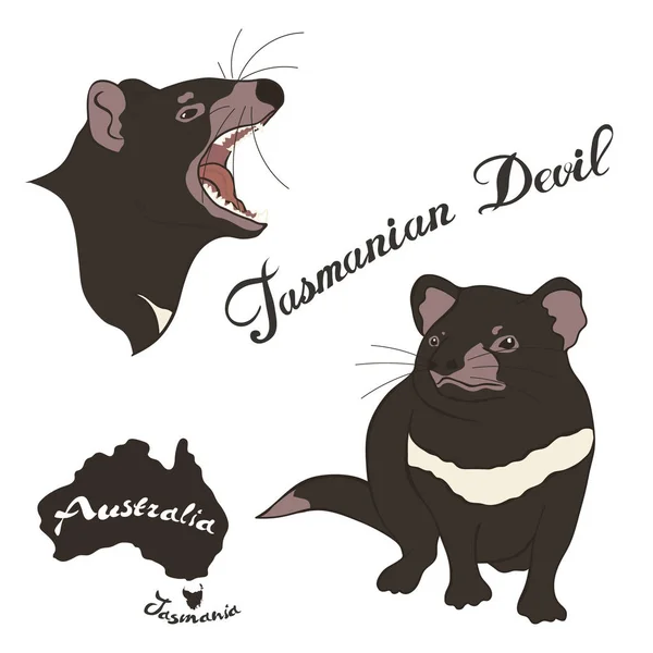 Tasmanian Devil Vektorbild Isolerad Vit Bakgrund Tasmanian Djävulen Full Tillväxt — Stock vektor