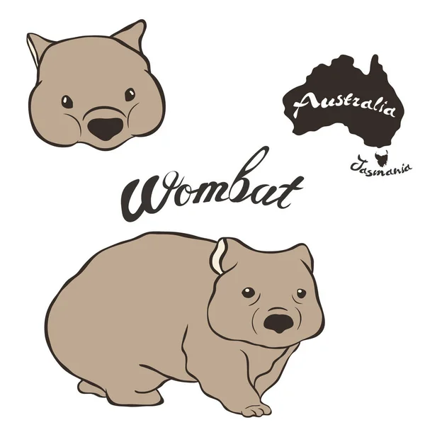 Wombat Imagen Vectorial Aislada Sobre Fondo Blanco Wombat Pleno Crecimiento — Vector de stock