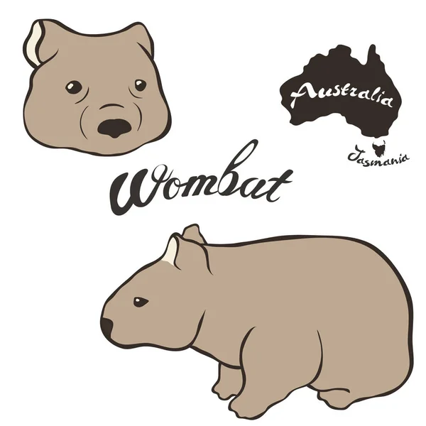 Wombat Imagen Vectorial Aislada Sobre Fondo Blanco Wombat Pleno Crecimiento — Vector de stock