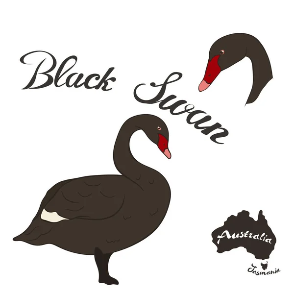 Imagen Vectorial Del Cisne Negro Aislada Sobre Fondo Blanco Cisne — Vector de stock
