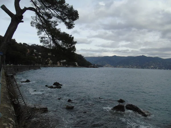 Promenade Bord Mer Portofino Ligurie Avec Ciel Gris Quelques Arbres — Photo