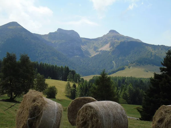 Úžasný Titulek Hor Trentino Velkým Výhledem Dolomity Brenta Sklizeň Sena — Stock fotografie