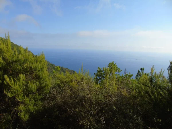 图片说明了利古里亚五地美丽的景色 背景是蔚蓝的天空和青翠的群山 — 图库照片