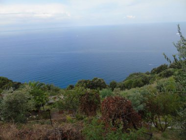 Liguria 'daki 5 Terre' den harika bir manşet. Arka planda harika mavi gökyüzü ve yeşil dağlar var.