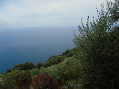 Liguria 'daki 5 Terre' den harika bir manşet. Arka planda harika mavi gökyüzü ve yeşil dağlar var.