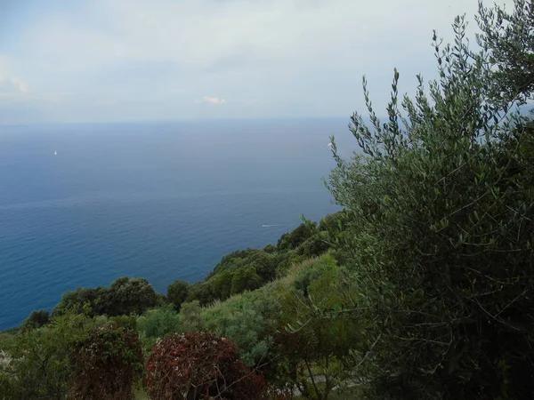 Niesamowity Podpis Pięknych Miejsc Terre Ligurii Niesamowitym Błękitnym Niebem Zielonymi — Zdjęcie stockowe