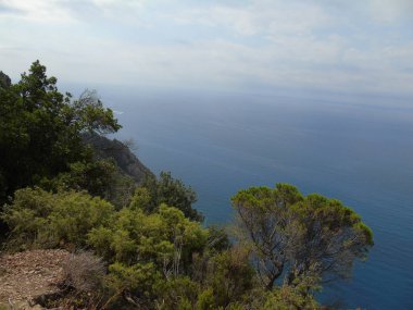 Liguria 'daki 5 Terre' den harika bir manşet. Arka planda harika mavi gökyüzü ve yeşil dağlar var.