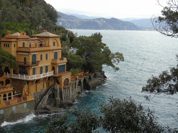 Procházky Pobřeží Portofina Ligurii Šedou Oblohu Některé Zelené Stromy Některé — Stock fotografie