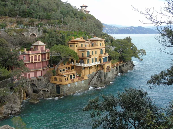 Procházky Pobřeží Portofina Ligurii Šedou Oblohu Některé Zelené Stromy Některé — Stock fotografie