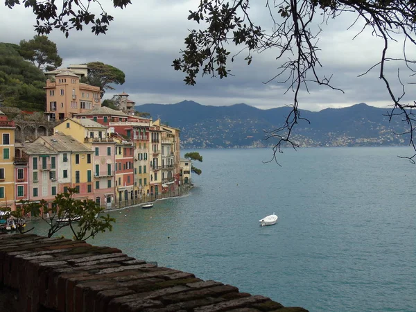 Procházky Pobřeží Portofina Ligurii Šedou Oblohu Některé Zelené Stromy Některé — Stock fotografie