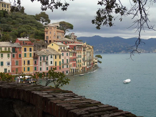 Séta Tengerparton Portofino Liguria Szürke Eget Néhány Zöld Fák Néhány — Stock Fotó