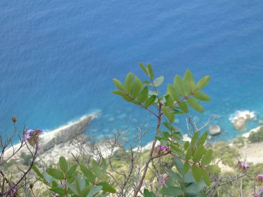 Liguria 'daki 5 Terre' den harika bir manşet. Arka planda harika mavi gökyüzü ve yeşil dağlar var.