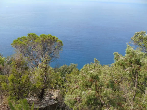 Liguria Daki Terre Den Harika Bir Manşet Arka Planda Harika — Stok fotoğraf