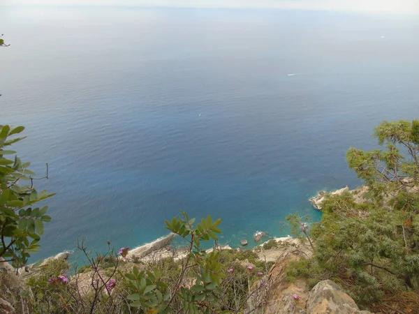 리구리아 테레에 아름다운 곳들이 놀랍게도 과푸른 산들로 뒤덮여 — 스톡 사진