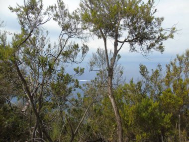 Liguria 'daki 5 Terre' den harika bir manşet. Arka planda harika mavi gökyüzü ve yeşil dağlar var.