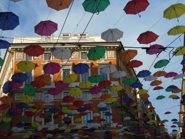 Genova şehri Euroflora olay için üzerinde güzel renkli şemsiyeler