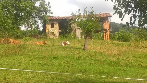 Uma Legenda Incrível Das Montanhas Trentino Com Uma Excelente Vista — Fotografia de Stock