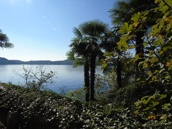 Increíble Viaje Piemonte Con Una Increíble Vista Lago Orta Los —  Fotos de Stock