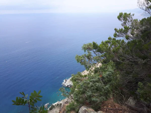 Liguria 'daki 5 Terre' den harika bir manşet. Arka planda harika mavi gökyüzü ve yeşil dağlar var.