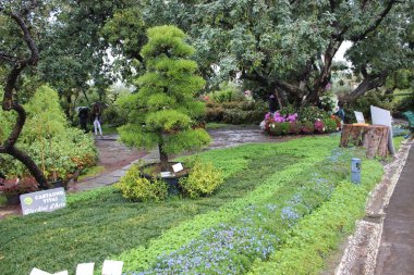 Güzel flasback için doğal çiçek park, Genova Nervi Euroflora olay vesilesiyle bu baharda