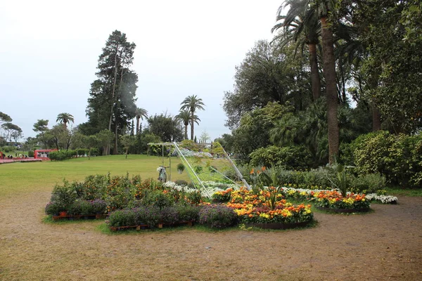 Güzel Flasback Için Doğal Çiçek Park Genova Nervi Euroflora Olay — Stok fotoğraf