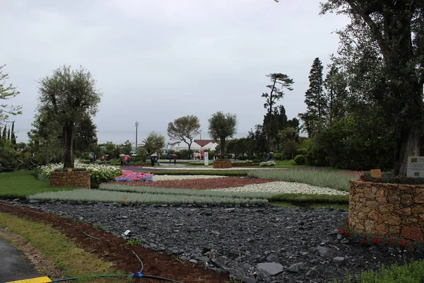 Vackra Flasback Till Den Naturliga Blomma Park Genova Nervi Våren — Stockfoto