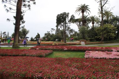 Güzel flasback için doğal çiçek park, Genova Nervi Euroflora olay vesilesiyle bu baharda