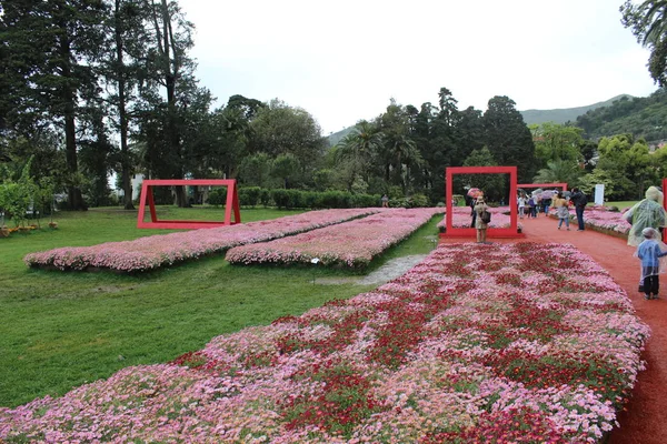 Vackra Flasback Till Den Naturliga Blomma Park Genova Nervi Våren — Stockfoto