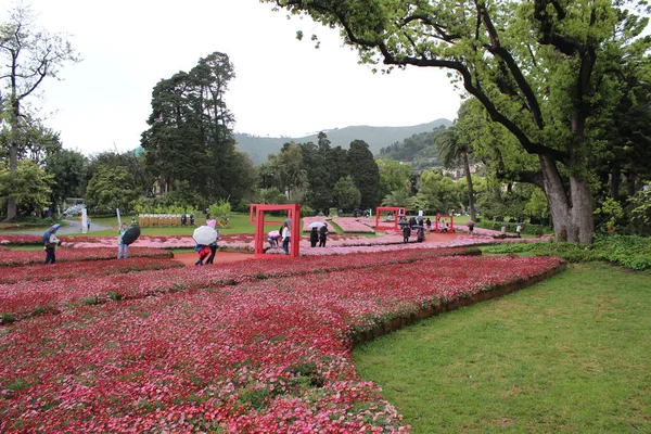 Vackra Flasback Till Den Naturliga Blomma Park Genova Nervi Våren — Stockfoto