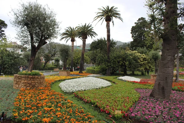 今年春天 欧洲植物区展将美丽地回到 Genova Nervi 的自然花园区 — 图库照片