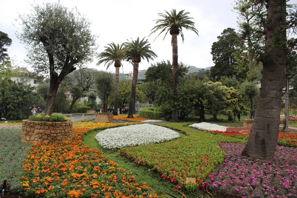 Vackra Flasback Till Den Naturliga Blomma Park Genova Nervi Våren — Stockfoto