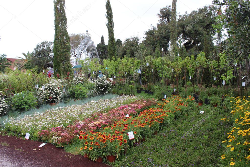 Beautiful flasback to the natural flower park of Genova Nervi this spring in occasion of the Euroflora event