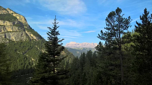 Eine Atemberaubende Bildunterschrift Der Berge Trentino Mit Einem Herrlichen Blick — Stockfoto