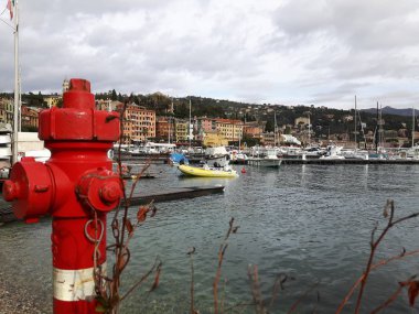 Portofino Liguria deniz gri bir gökyüzü ile dolaşan, bazı ağaçlar ve güzel dalgalar yeşil