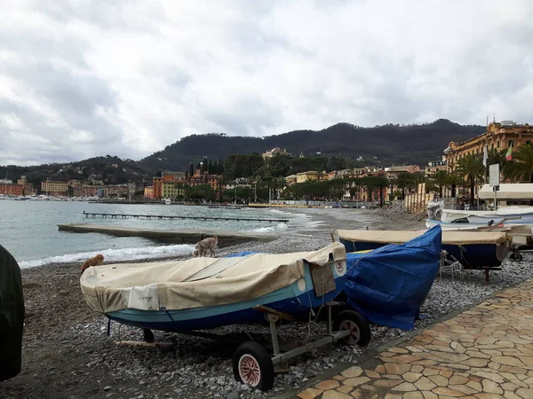 Caminhando Redor Litoral Portofino Ligúria Com Céu Cinzento Algumas Árvores — Fotografia de Stock