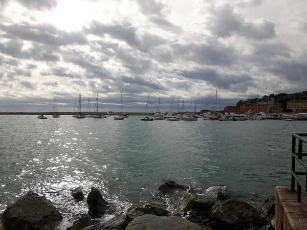 Passeggiando Mare Portofino Liguria Con Cielo Grigio Alcuni Alberi Verdi — Foto Stock