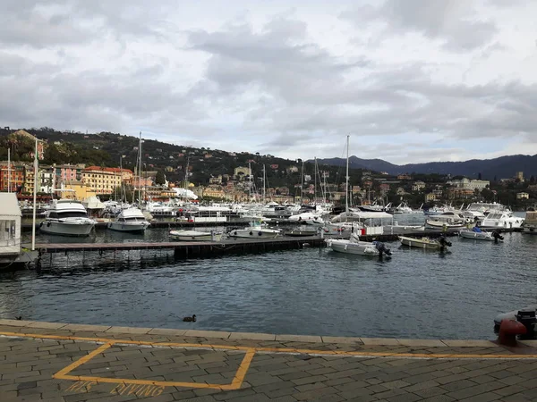 Paseando Por Costa Portofino Liguria Con Cielo Gris Algunos Árboles — Foto de Stock