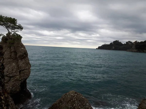 Procházky Pobřeží Portofina Ligurii Šedou Oblohu Některé Zelené Stromy Některé — Stock fotografie